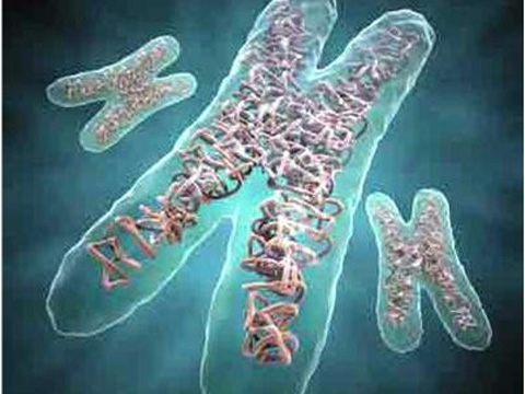 Biotecnología y Mejora Genética
