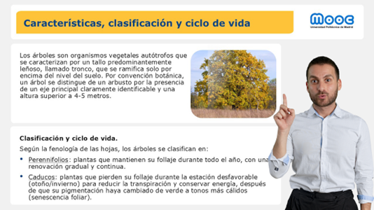 Imagen 2: Estructura y espacio reservado para el docente