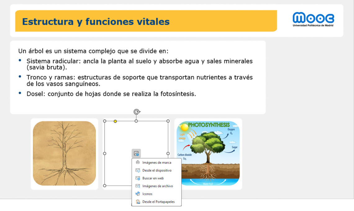 Imagen 3: Cómo añadir imágenes en PowerPoint