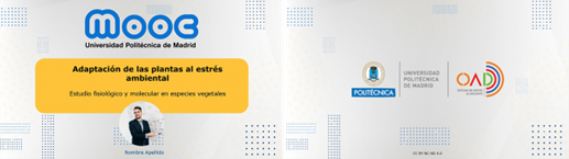 Imagen 4: Requisitos obligatorios