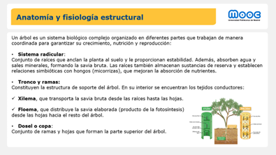 Imagen 5: MOOC sin vídeo del docente